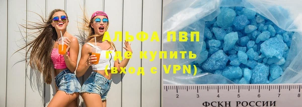 молекула духа Вяземский