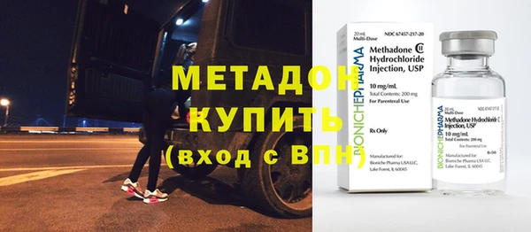 молекула духа Вяземский