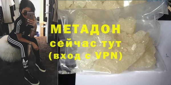 молекула духа Вяземский