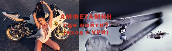 молекула духа Вяземский