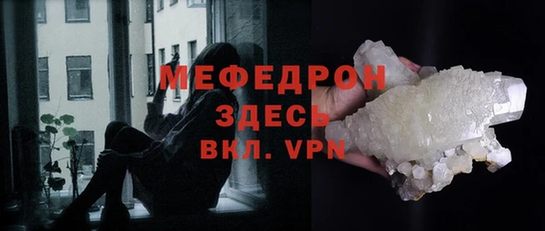 молекула духа Вяземский