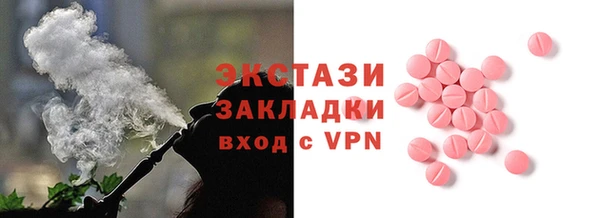 молекула духа Вяземский