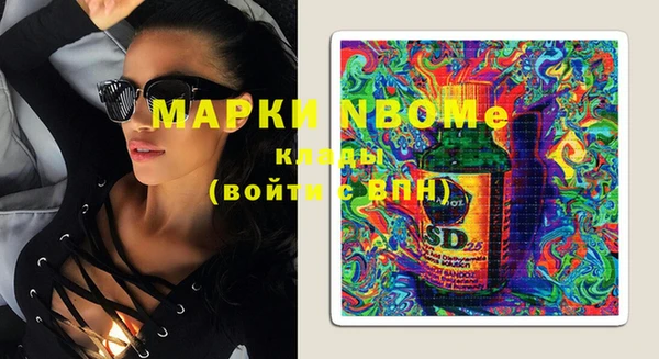 молекула духа Вяземский
