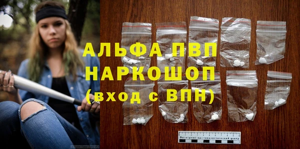 молекула духа Вяземский