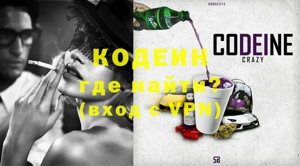 молекула духа Вяземский