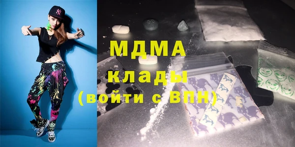 молекула духа Вяземский