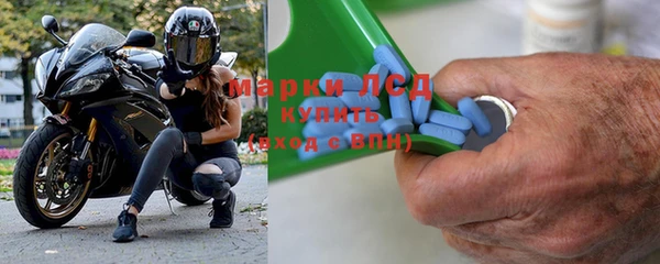 молекула духа Вяземский